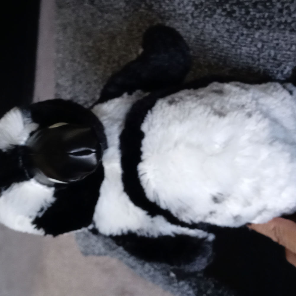 Penguin stuffed animal